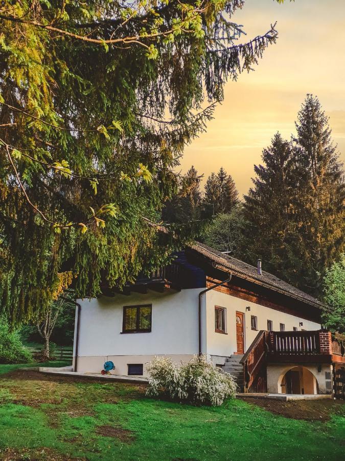 玛利亚采尔Ferienhaus Mooshuben公寓 外观 照片